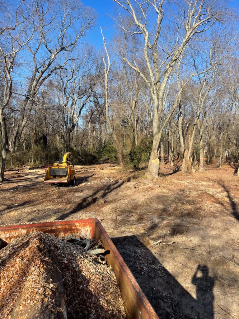 Expert Brick Land Clearing Solutions